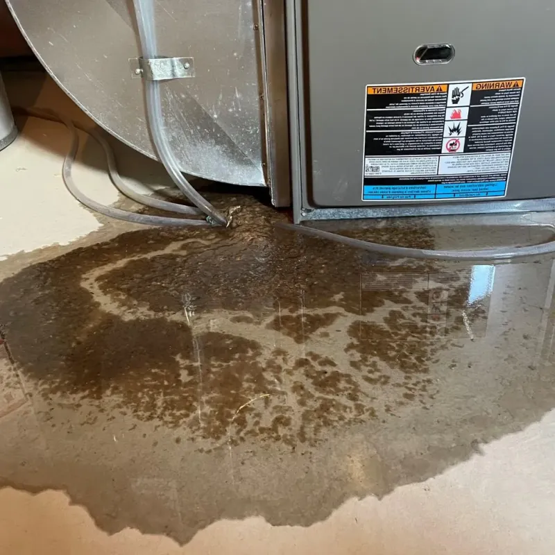 Pipe Burst and Leak Restoration in Buffalo County, NE