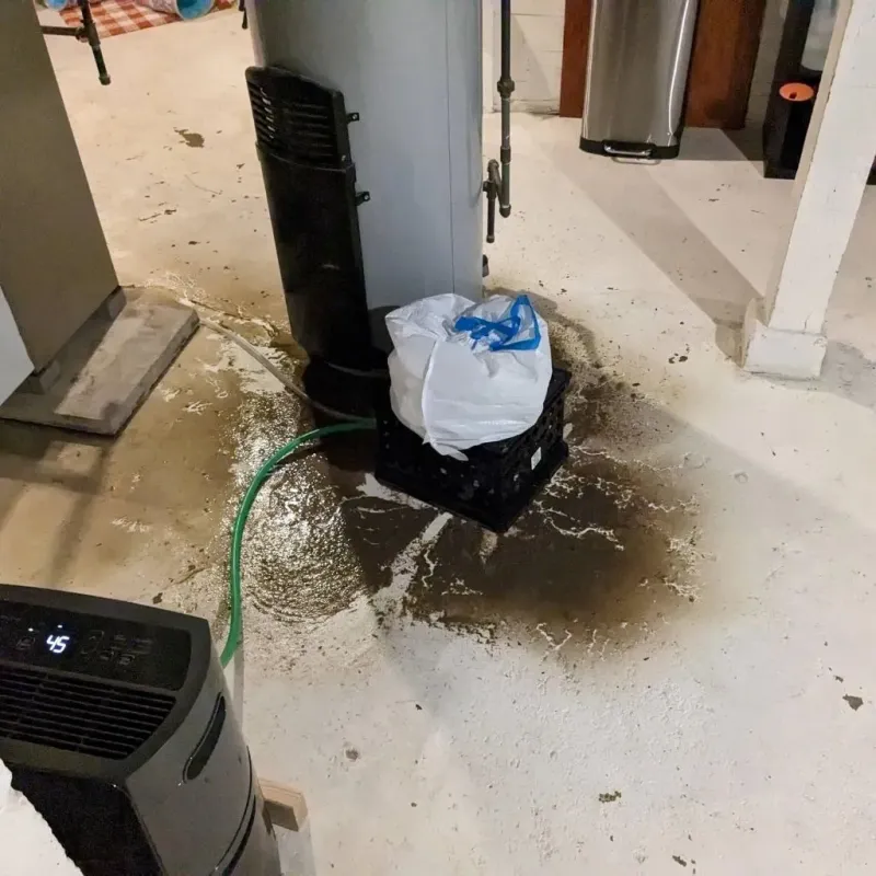 Sewage Backup Cleanup Service in Buffalo County, NE